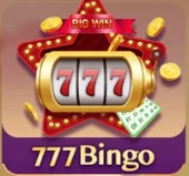 play-777-bingo-on-3-patti-union