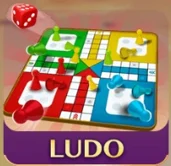 Ludo game